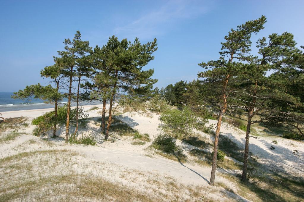 Vila Medus Palanga Extérieur photo