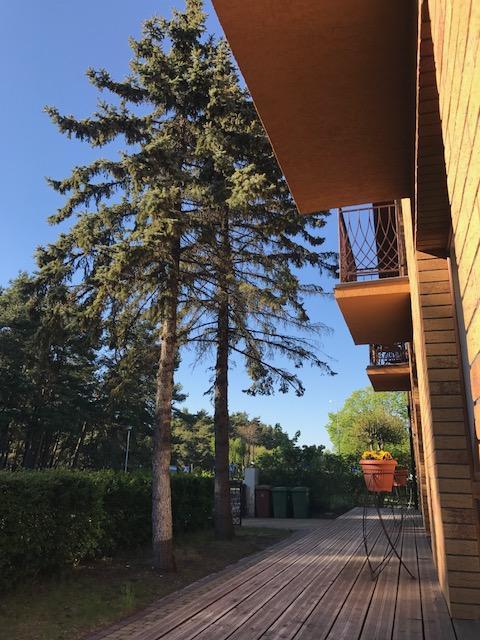 Vila Medus Palanga Extérieur photo
